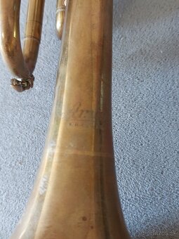 Trubka amati kraslice - 7