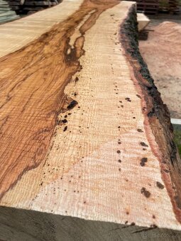 JASEŇOVÉ REZIVO OLIVE ASH / Očkové drevo / Live edge - 7