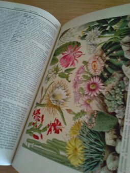 Meyers Lexikon (1925-27) - 7