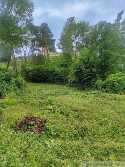 NOVÁ NIŽŠIA CENA Pozemok priamo pod Divínskym hradom - 7