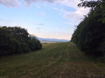 Predam pozemok Moravske Lieskove 5600m2 - 7