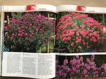 Golf, První kroky na FOREXu, Malý atlas húb, Bukovský - 7