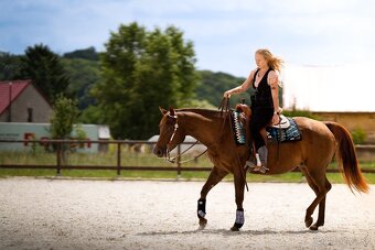 Palomino klisna American Quarter Horse, LTE rodiče i sestra - 7