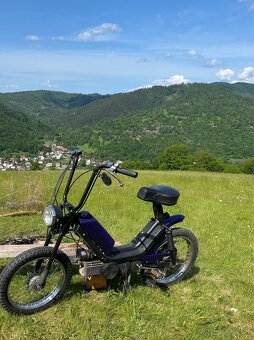 Babetta - 7