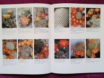 Ilustrovaná encyklopédia kaktusov v angličtine - 7