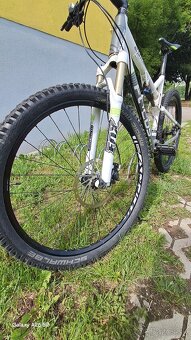 FOCUS SUPER BUD
29R - 7