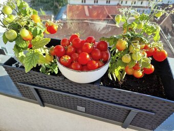 Držák květinových truhlíků BV - Instalace bez vrtání - 7