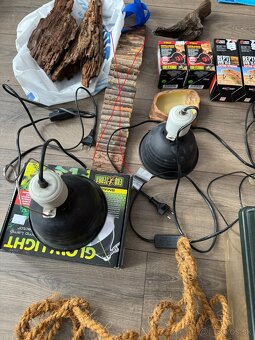 veci po chove agamy bradatej - 7