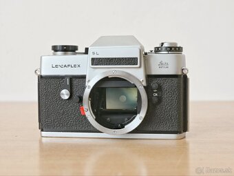 Leicaflex SL / Summicron 50mm f2 (2-CAM) - 7