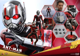 Ant Man a Wasp Hot toys MMS497+MMS498 - 7