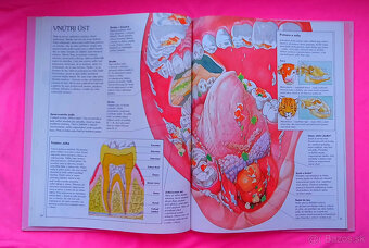 Detské knihy za 1 EUR      ,-♥ - 7