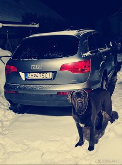 Q7 - 7