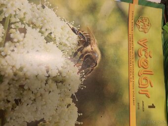 Časopis včelár - 7