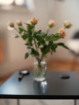 Mitakon 65mm f1.4 pre Fujifilm GFX - 7