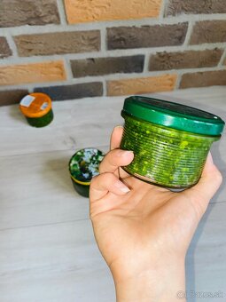 Pesto MEDVEDÍ CESNAK 2025 - 7