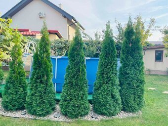 Predám peknú chatu v obci Geča, Košice - okolie. - 7