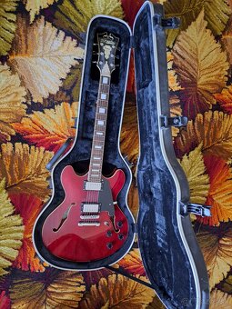 D'Angelico Premier DC Burnt Red Semiakustická gitara - 7