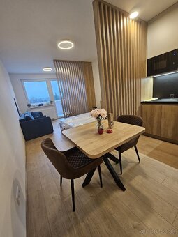 Prenájom 1- izbový byt . - 7