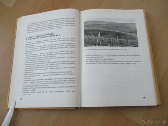 Rez a vedenie viniča - 7