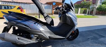 Predam scooter - 7
