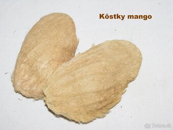 SUŠENÉ KVETY, ŠIŠKY a iné plody do dekorácií - 7