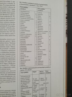 Dejiny Michaloviec - 7