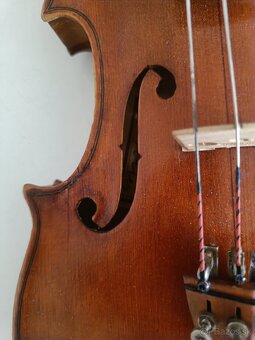 Predam husle - 7