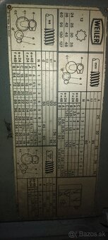 Sustruh Weiler - 7