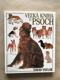 Golf, Reinhold Messner, Bukovský, Psy, Feynmanove prednášky - 7