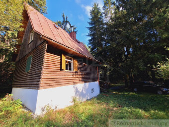 Útulná chata v tichom lesíku pri obci Olešná - 7