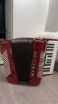 Harmonika- Delicia - 7