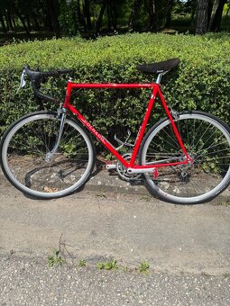 colnago - 7