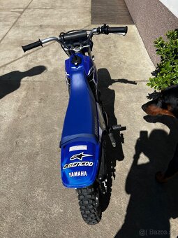 Yamaha PW 80 - 7