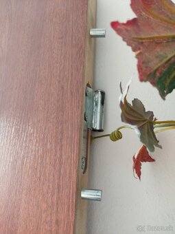 Bezpečnostné dvere Adlo - 7