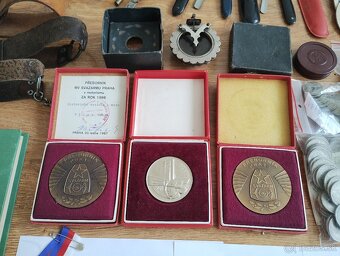 PRODÁM NÁLEZY Z PŮDY, STAROŽITNOSTI, POKLADY Z PŮDY - 7