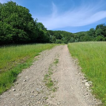 POZEMOK NA VÝSTAVBU REKREAČNEJ CHATY-REGETOVKA - 7