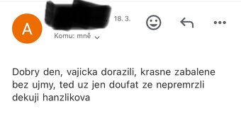 NV zdrobnělá vlaška zlatě zbarvená - 7