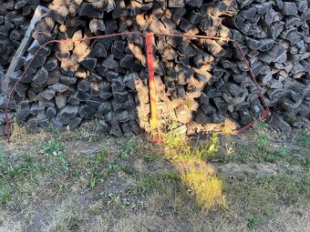 Zhrňovač Fella ts 295 rdf - 7