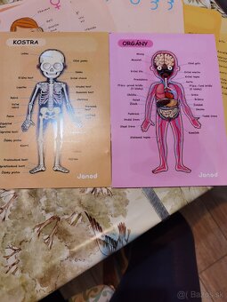 Predám ľudské telo magnety - 7