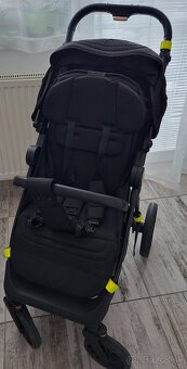 Coletto dizzi Black - 7