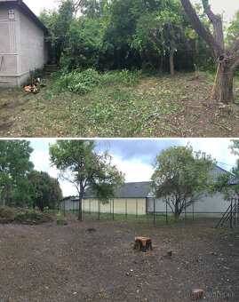 Čistenie zanedbaných pozemkov, údržba pozemkov, kosenie - 7