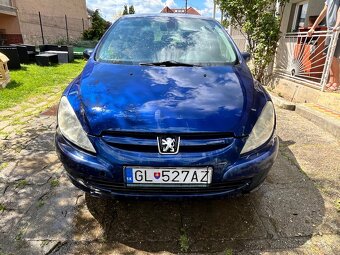 Peugeot 307 2001 benzín - 7