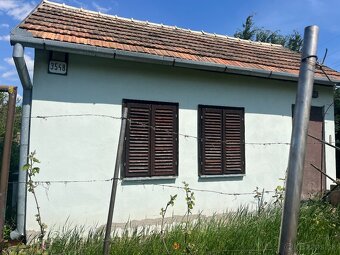 Na predaj: Záhrada so záhradnou chatkou v Leviciach - 7