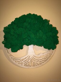 Stromy života - 7