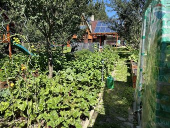 Záhrada s chatou v krásnom prostredí - 7