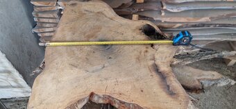 Dubové priečne rezy na stoly - 7