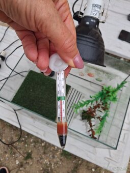 Akvárium pre korytnačky - 7