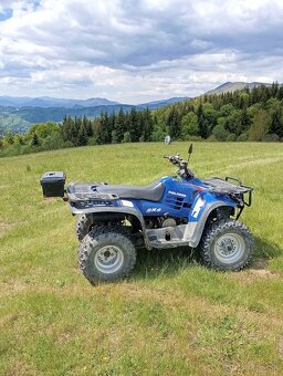 Polaris Magnum 325 - 7