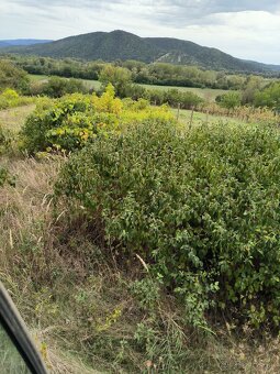 Lesna freza mulcovac - 7