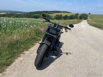 HARLEY DAVIDSON fatbob 114 SOFTAIL - 7